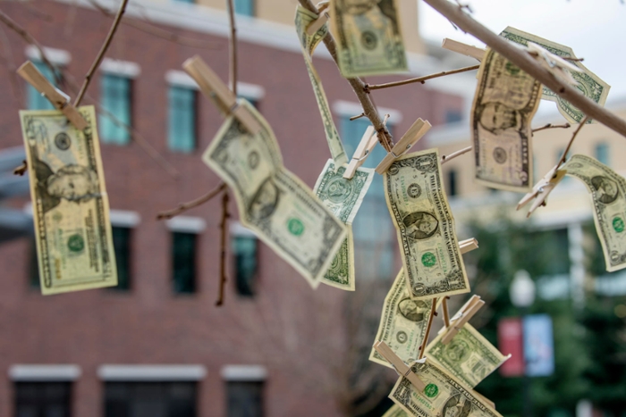 Money hanging from a tree